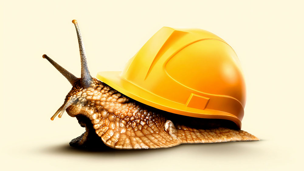 A snail wearing a hard hat as a shell, signifying the slow but steady improvements in the construction industry per the Architectural Billings Index.