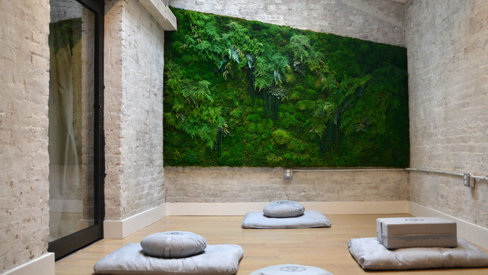 A white washed brick wall meditation room with a pale wood floor, living wall with various green plants, a large skylight, and gray floor pillows.