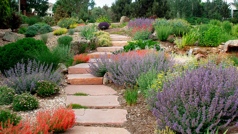 Winding stone path surrounded by colorful native xeriscape plants and pale wood mulch