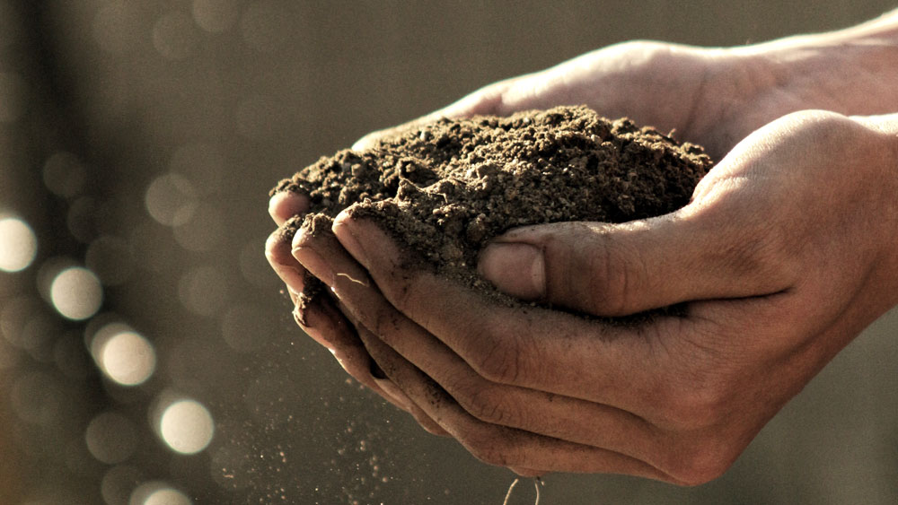 Cupped hands holding a mound of soil, signifying the importance of healthy soil for xeriscaping