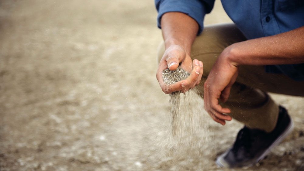 Man squatting down to run sandy dirt through his hands, signifying the importance of dirt specifically prepared to suit certain plants