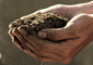 Cupped hands holding a mound of soil, signifying the importance of healthy soil for xeriscaping