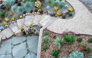 Hillside Xeriscape Xeriscaped sloping pathway of crushed gravel between bark and rock mulched xeric beds