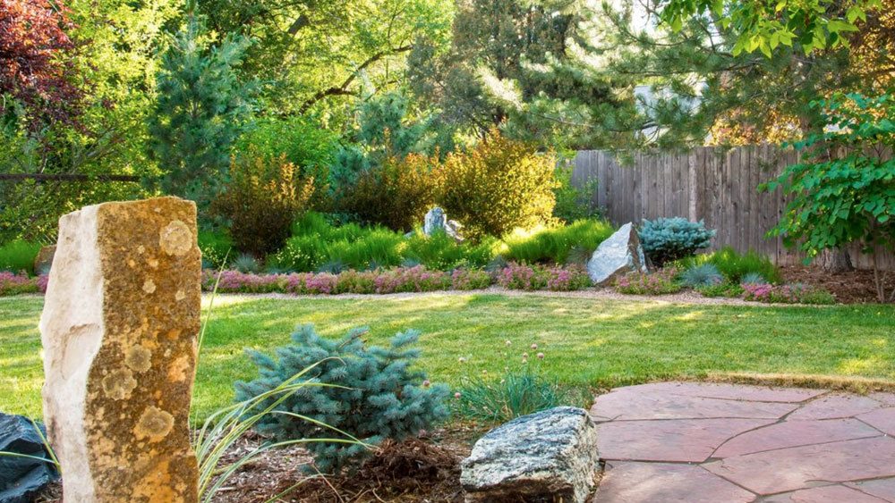 Colorful xeriscape with a tall boulder in the foreground, areas of turf grass, and drought-tolerant flowering plants