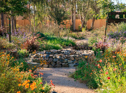 San Francisco Xeriscape Crushed granite pathway through lush xeriscape with colorful blooming wildflowers and a stone well in the center
