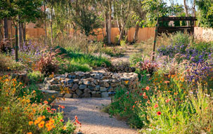 San Francisco Xeriscape Crushed granite pathway through lush xeriscape with colorful blooming wildflowers and a stone well in the center