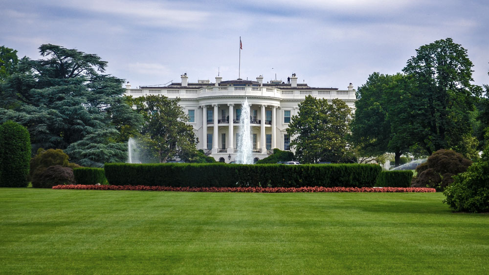 The White House and front lawn with green grass and vibrant red flowers