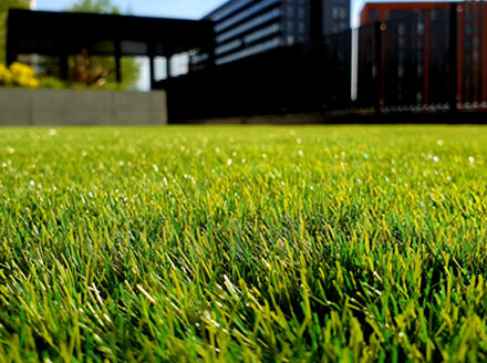 Synthetic Turf Close up of an artificial grass lawn in the foreground of a modern home