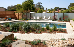 A modern, rectangular pool surrounded by a xeriscaped yard with ornamental grasses, river rocks, and wood mulch.